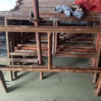 東莞腳手架出租與搭建服務 專業(yè)鋼管與排柵管解決方案