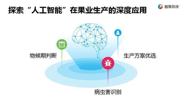 鄉村振興，科技賦能 新一代農業信息技術企業的軟件戰略